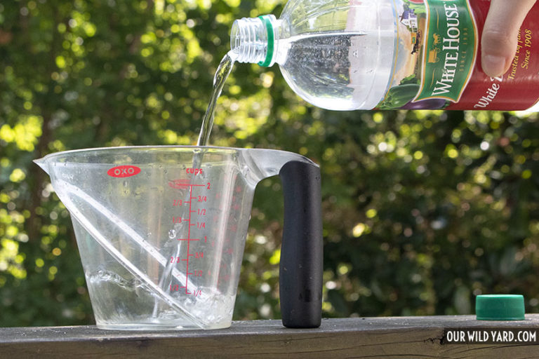 How to Clean A Bird Bath Our Wild Yard